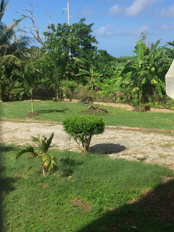 Ancella'S Garden Apartment-Beach-5Min Drive, 1 Hr Montego Bay, 25 Mins Ocho Rios, Continental Breakfast Runaway Bay Eksteriør billede